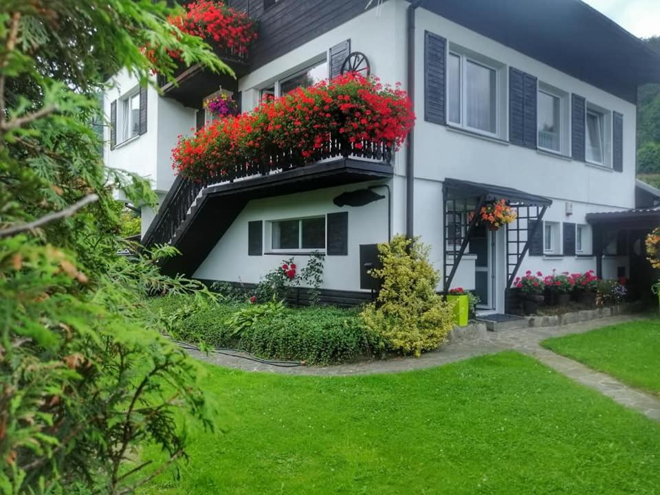 Apartament Bukowy Διαμέρισμα Szczyrk Εξωτερικό φωτογραφία
